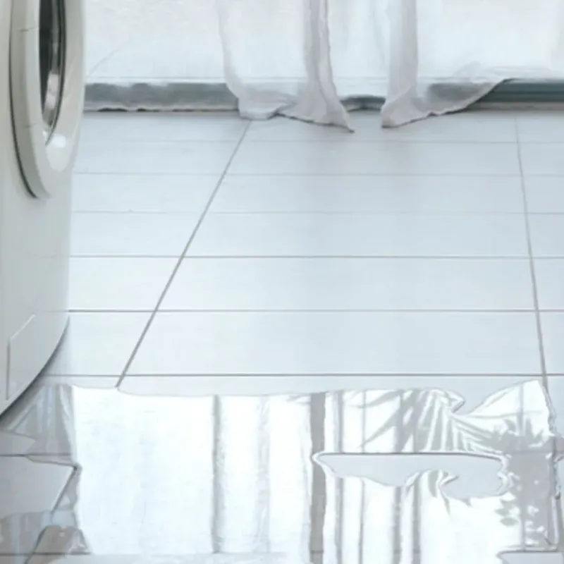 Appliance Leak Cleanup in Forest Park, OH
